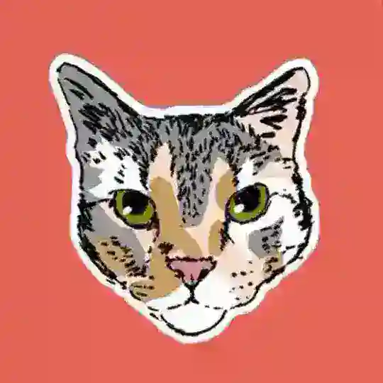 Base de gatos Telegram Channel Avatar
