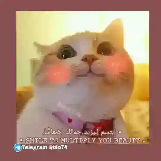 رابط قنواتنا ❤ Telegram Channel Avatar