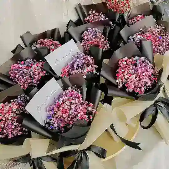 Bungakieta Catalog Telegram Channel Avatar