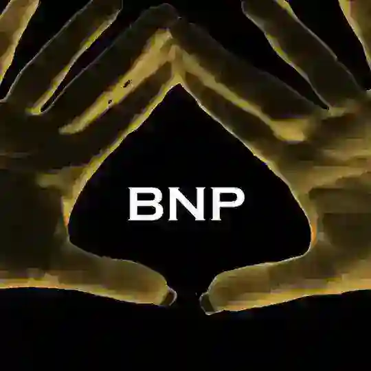 bnp.global Telegram Channel Avatar