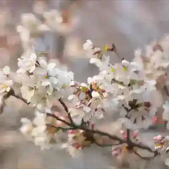 Catatan Nihongo Telegram Channel Avatar