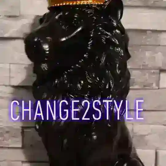 Change2style Telegram Channel Avatar