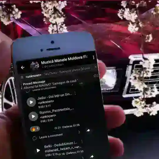 Muzică Manele Moldova Florești 2026🇲🇩 Telegram Channel Avatar