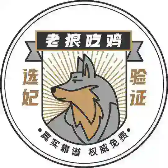 成都老狼选妃已验证 Telegram Channel Avatar
