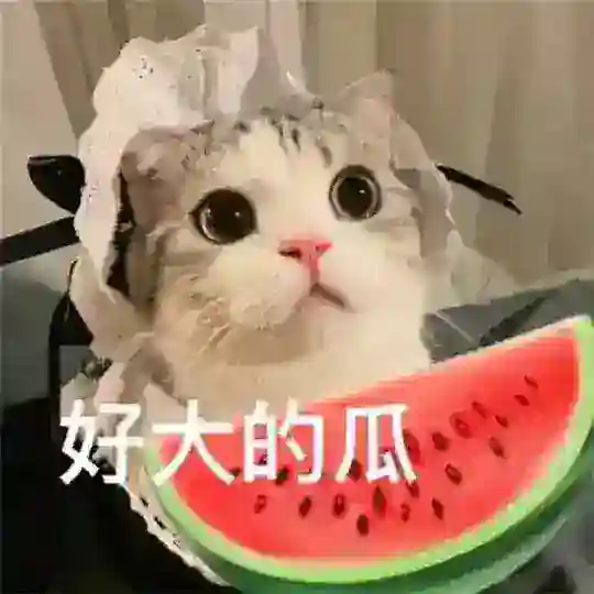 全网搞笑吃瓜猎奇 Telegram Channel Avatar
