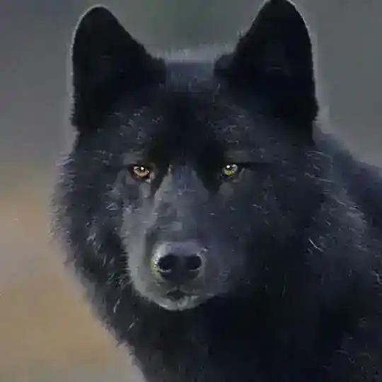 Clã dos Lobos Telegram Channel Avatar