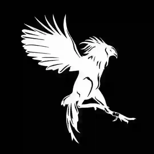 🐓 Chicayán - Criadero de gallos y gallinas Telegram Channel Avatar