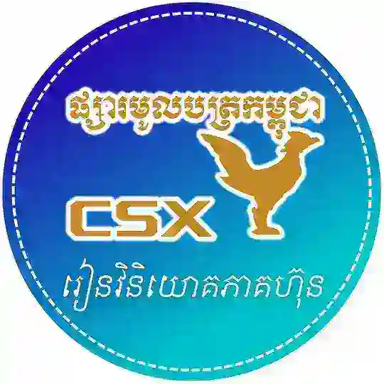 រៀនទិញភាគហ៊ុននៅ CSX Telegram Channel Avatar
