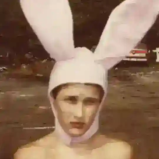 Cult Filmoteca 🎞 Telegram Channel Avatar