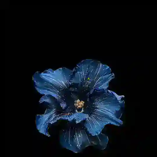 JamilaGalleria Telegram Channel Avatar