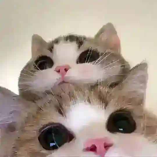 叮当喵喵-今天你也很可爱 Telegram Channel Avatar