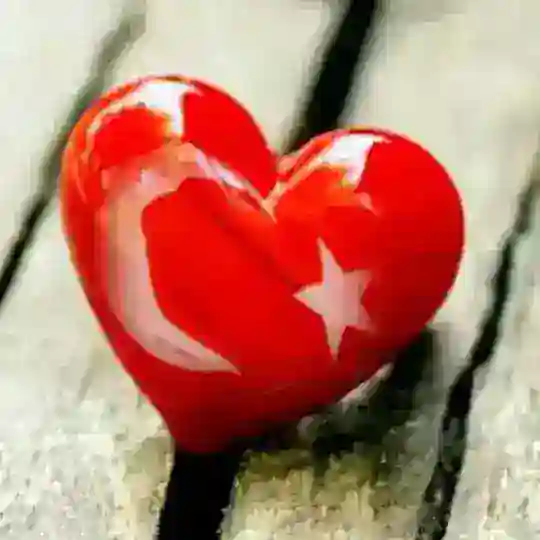 Dizilover (Amanti delle Serie Turche) 💞 Telegram Channel Avatar