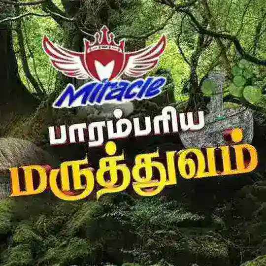 DMS Energy Home Telegram Channel Avatar