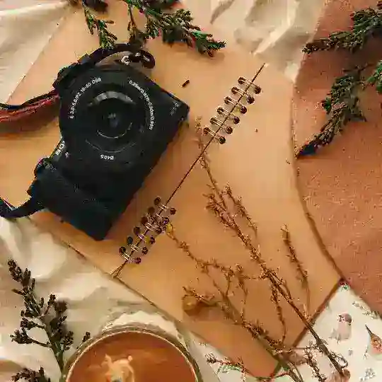 حالات قصيرة🤎اقتباسات🤎. Telegram channel