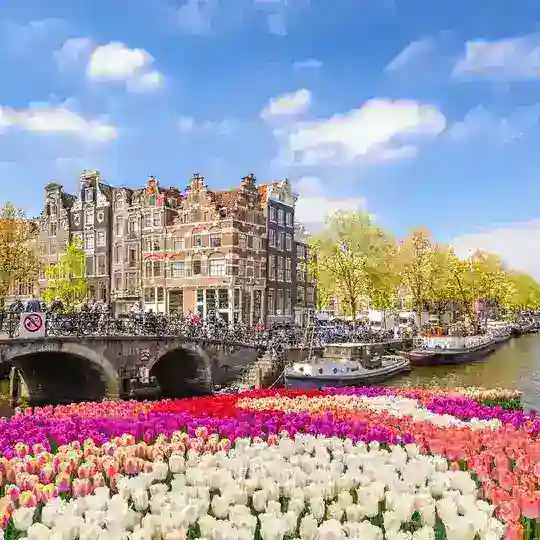 Empleo en Holanda ✈️💼 Telegram Channel Avatar