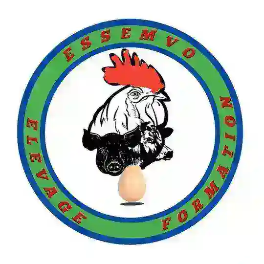 PARLONS D'ÉLEVAGE ET D'AGRICULTURE / ESSEMVO Telegram Channel Avatar