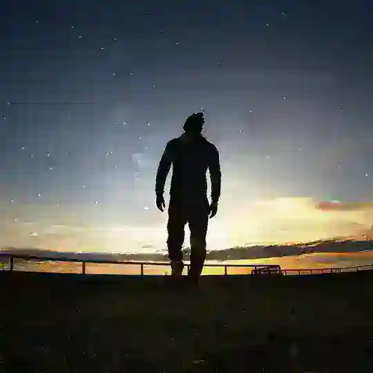 Felipe Rhein Telegram Channel Avatar