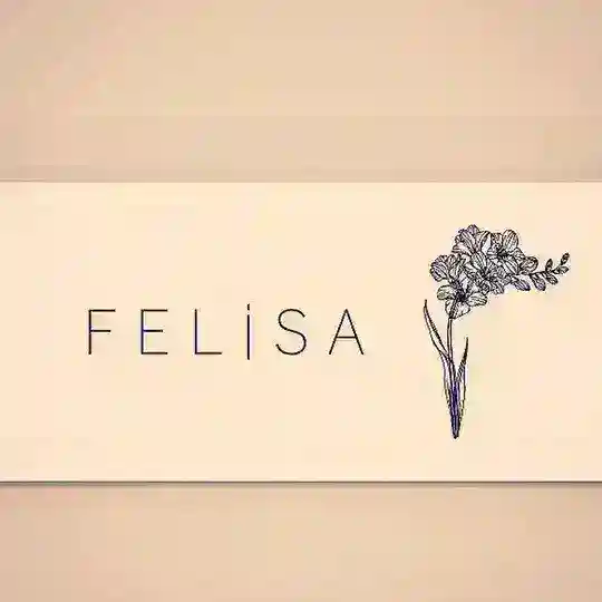 Toptan felisa Telegram Channel Avatar
