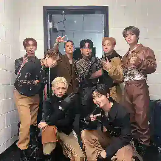 💭🐨 Stray kids bubble 🫧♡ Telegram Channel Avatar