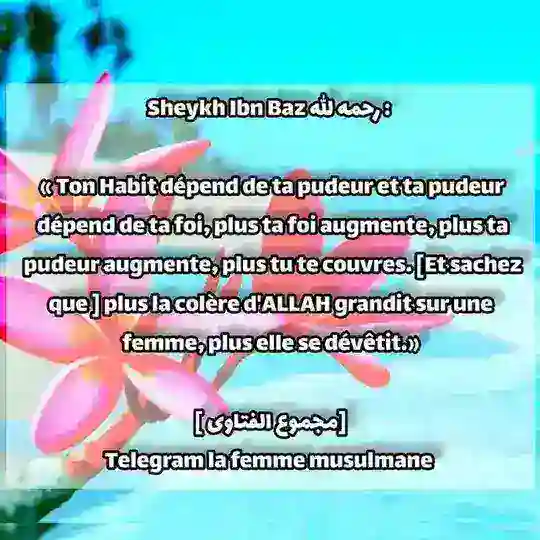 LA FEMME MUSULMANE Telegram Channel Avatar