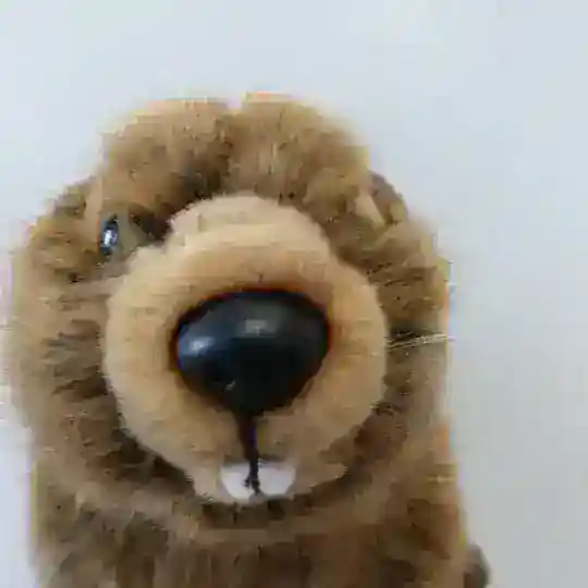 FsInfo Chats Telegram Channel Avatar