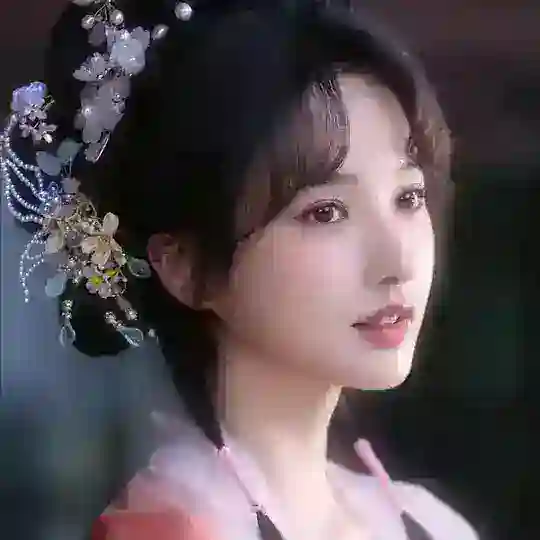 国风汉服 | Hanfu Telegram Channel Avatar