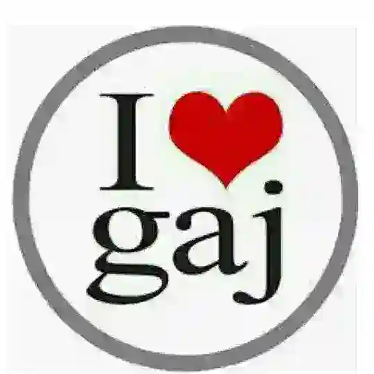آزمون های گاج Telegram Channel Avatar