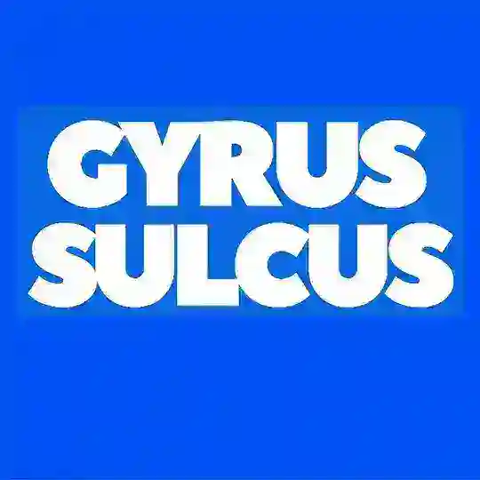 Gyrus Sulcus Telegram Channel Avatar