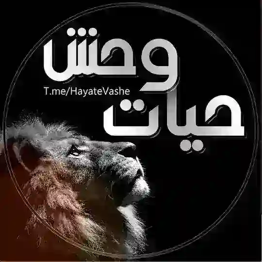 🐆حیات وحش 🐅 Telegram Channel Avatar
