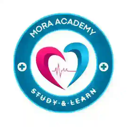 Mora Academy Telegram channel