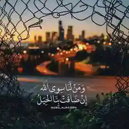 مقاطع دينيه 🌿 Telegram Channel Avatar