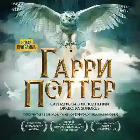 Гарри Поттер. Оркестр Sonorus Telegram Channel Avatar