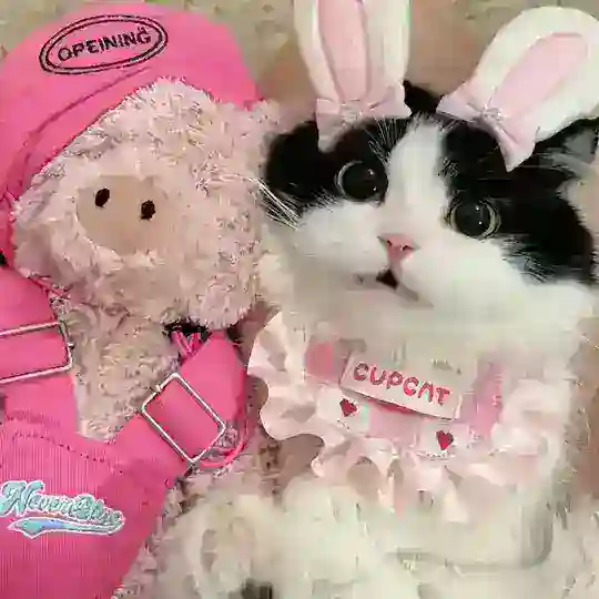一些奇奇怪怪可愛の貼圖 ♡ Telegram Channel Avatar