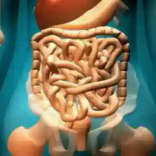 ibs سندروم روده تحریک پذیر ibs گوارش کولیت Telegram Channel Avatar