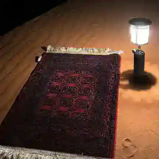 قرآن / اجر 📜 Telegram Channel Avatar