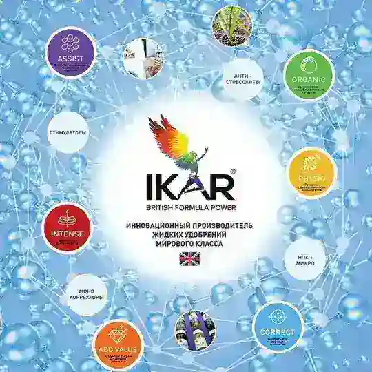 IKAR Uzbekistan Telegram Channel Avatar