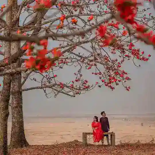 🌿🍃প্রকৃতির ছোঁয়া🍃🌿 Telegram Channel Avatar