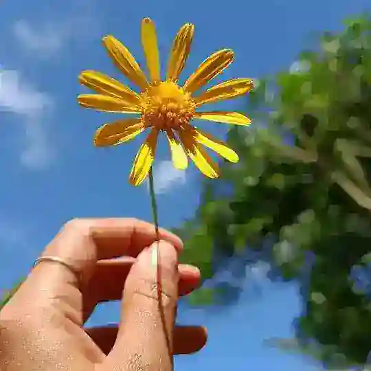 ഇതളെഴുത്തുകൾ🥀 Telegram Channel Avatar