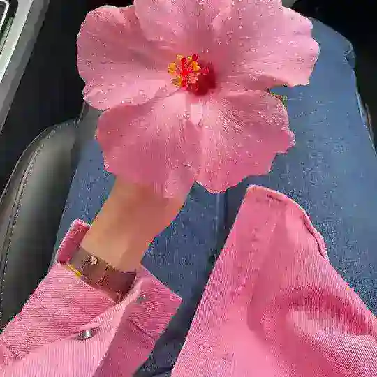 مُقَاِطٕعٍ سِٕكَِّسَٕٓيٍُهَِٕ قصص نَِيِٰجَٕهُِ افٓلُآمَ Telegram Channel Avatar