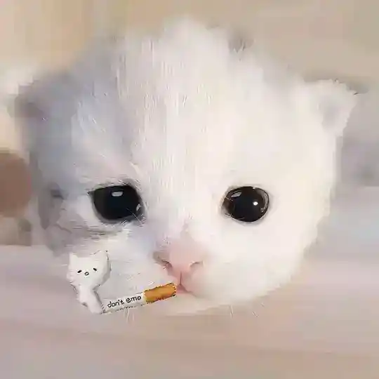 晋江莹莹 Telegram Channel Avatar