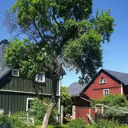 Jörgs Drechselwerkstatt Telegram Channel Avatar