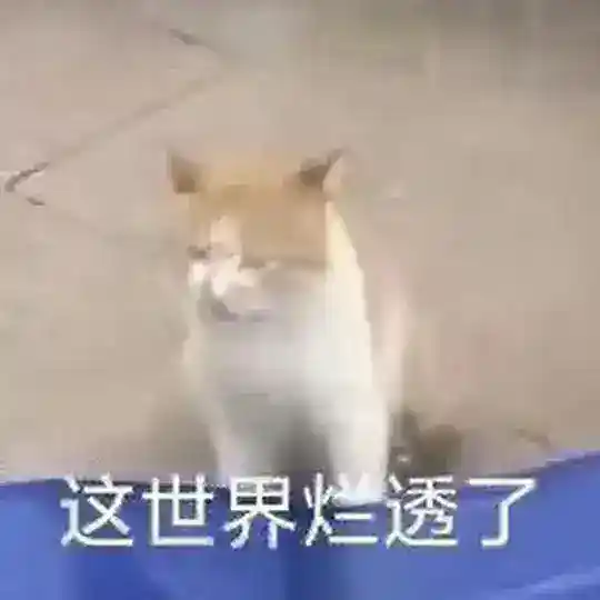 橘子综合资源分享中心 Telegram Channel Avatar