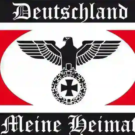 Rechtsrock 🖤🤍❤️🎱🎱 Telegram Channel Avatar