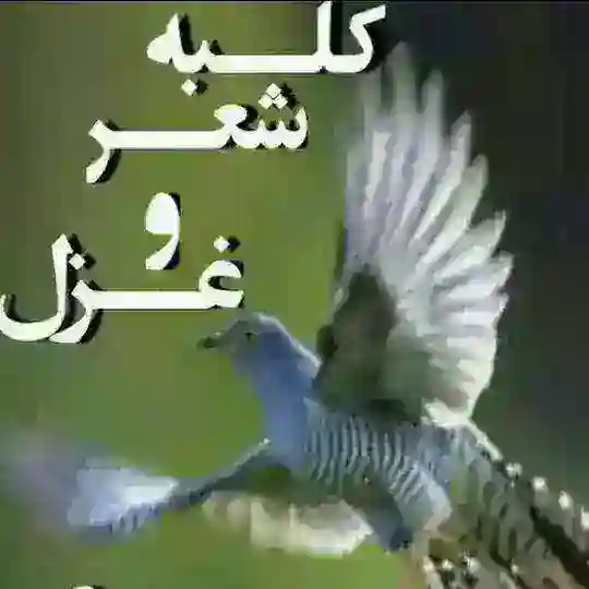 کلبه شعر و غزل🕊 Telegram Channel Avatar