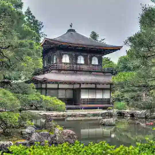 Japonca (Japanese Practice) Telegram Channel Avatar