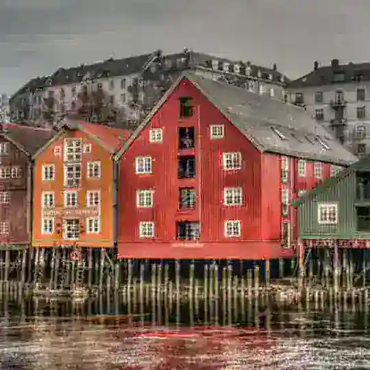 Norveççe (Norwegian Practice) Telegram Channel Avatar