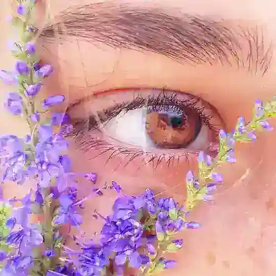 LavenderPan-7-လာဗန်ဒါပန်💜 Telegram Channel Avatar