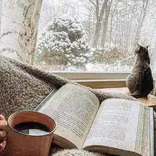 Leili's Books Telegram Channel Avatar