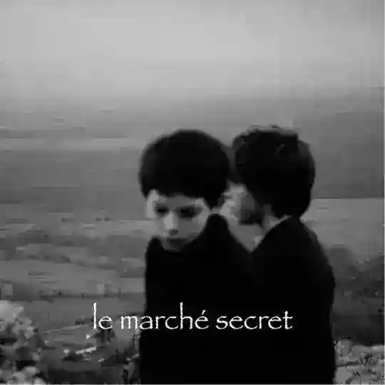 le marché secret Telegram Channel Avatar