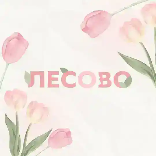 ЛЕСОВО | натуральные добавки Telegram Channel Avatar